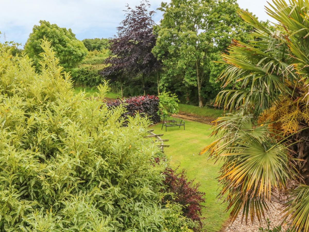 Апартаменты Fig Trees - Wibble Farm Williton Экстерьер фото